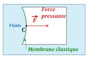 Schéma présentant la force pressante s'exerçant en un point C sur une membrane élastique