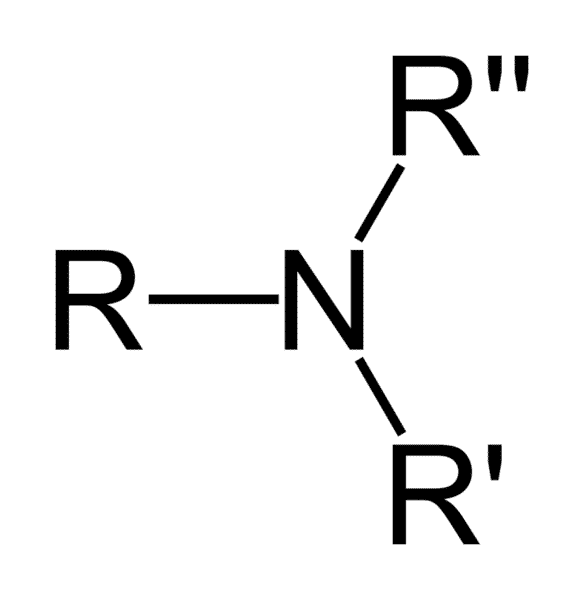 Groupe amine caractéristique de la fonction amine